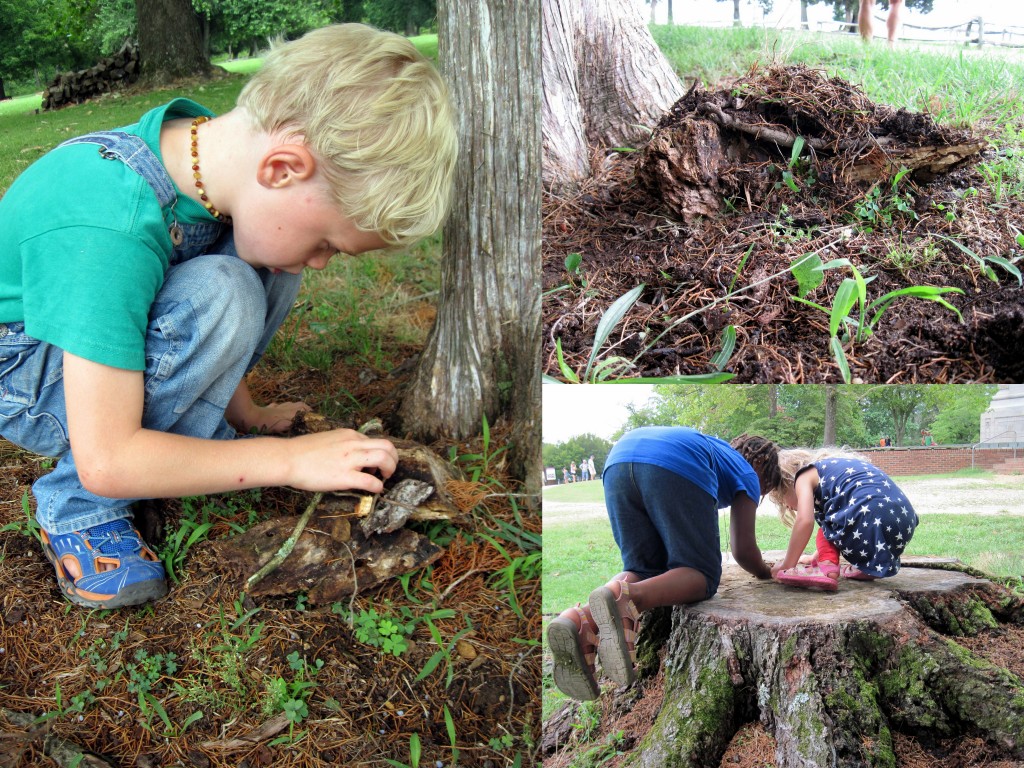 Judah built a teeny wood house while the girls explored a hole in a tree stump. 