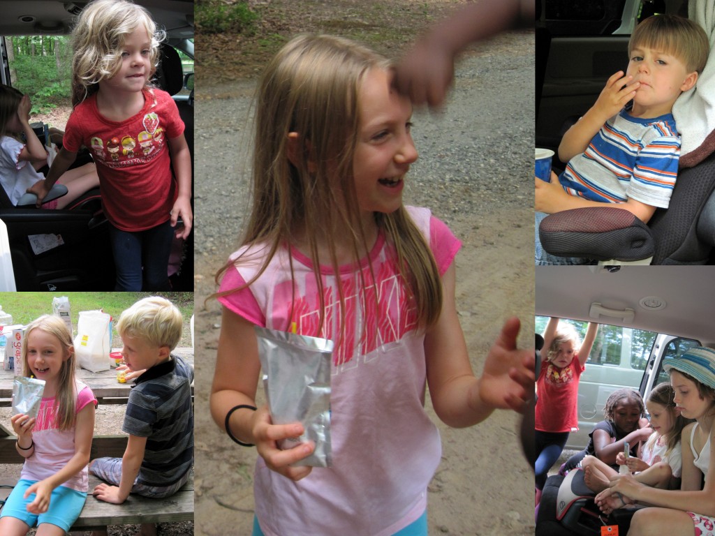 Collage 1