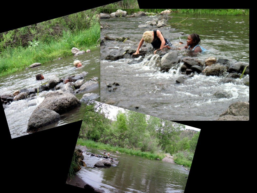 Collages3