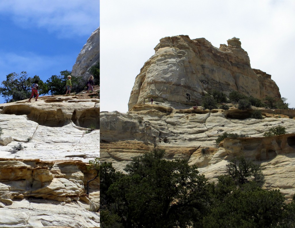 Look closely. Notice the little native animals scaling the cliff!